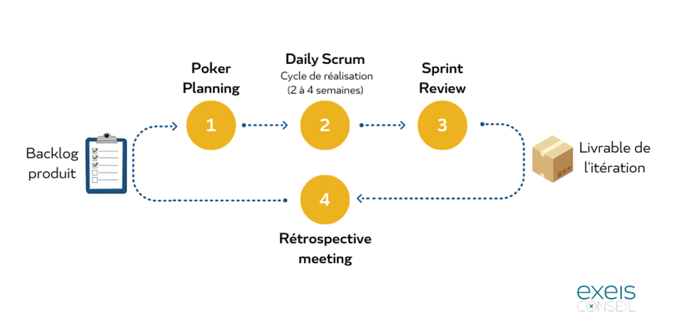 Le cycle de l'agilité - EXEIS Conseil