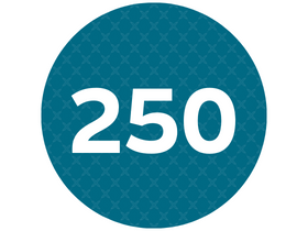 250 clients - EXEIS Conseil