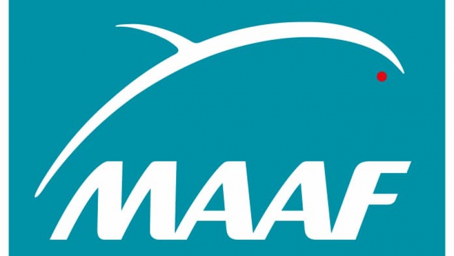 Comment la MAAF a transformé une contrainte réglementaire en opportunité commerciale ?
