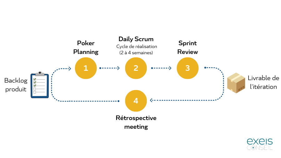 Le cycle de l'agilité - EXEIS Conseil