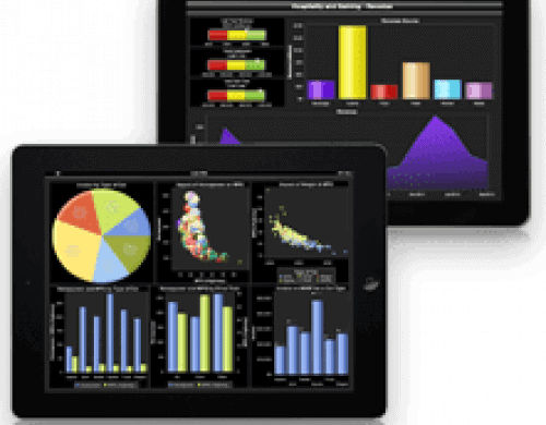 Exemples de visuels SAS Visual Analytics