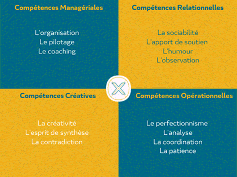 EXEIS Conseil | Compétences en équipe