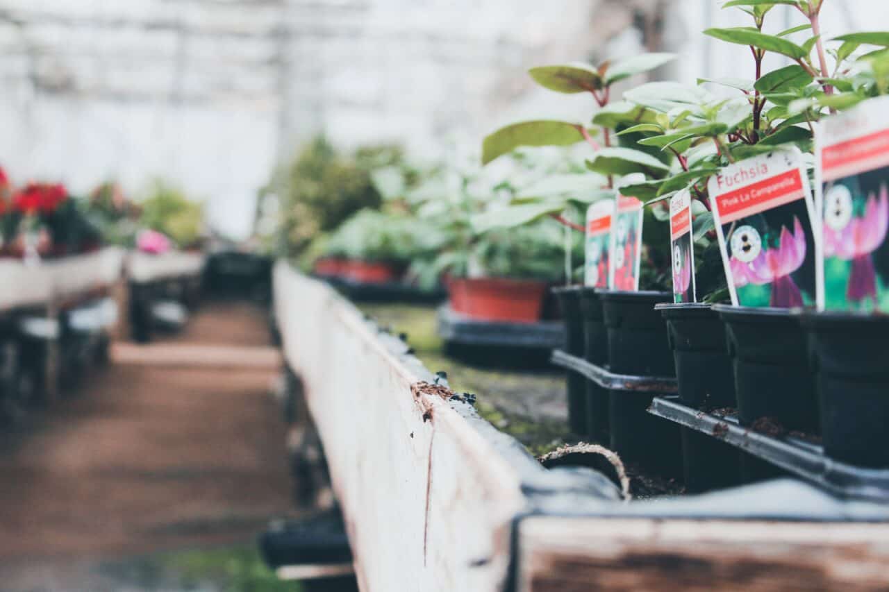 Spécificités jardineries | EXEIS Conseil