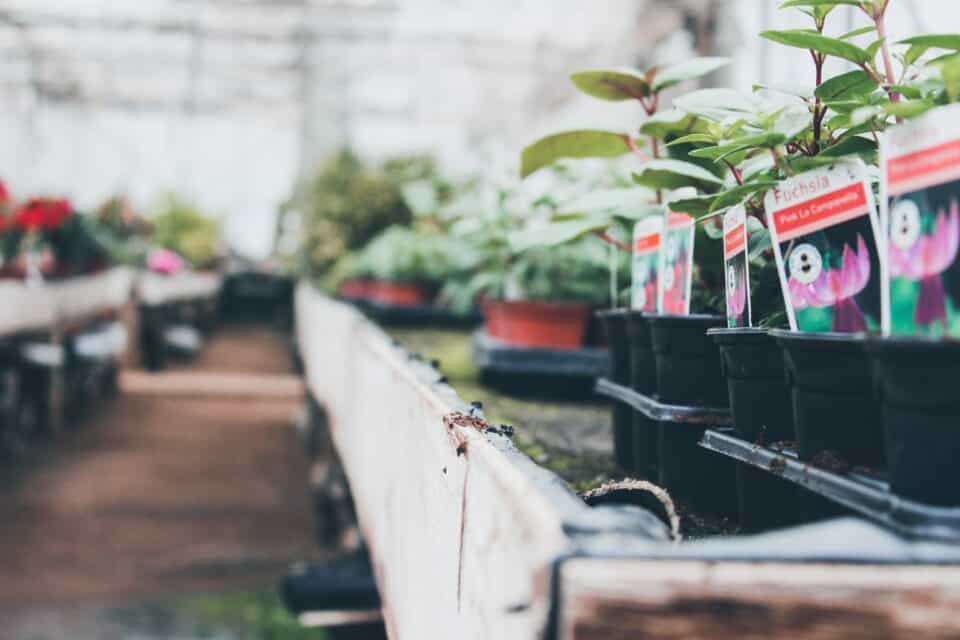 Spécificités jardineries | EXEIS Conseil