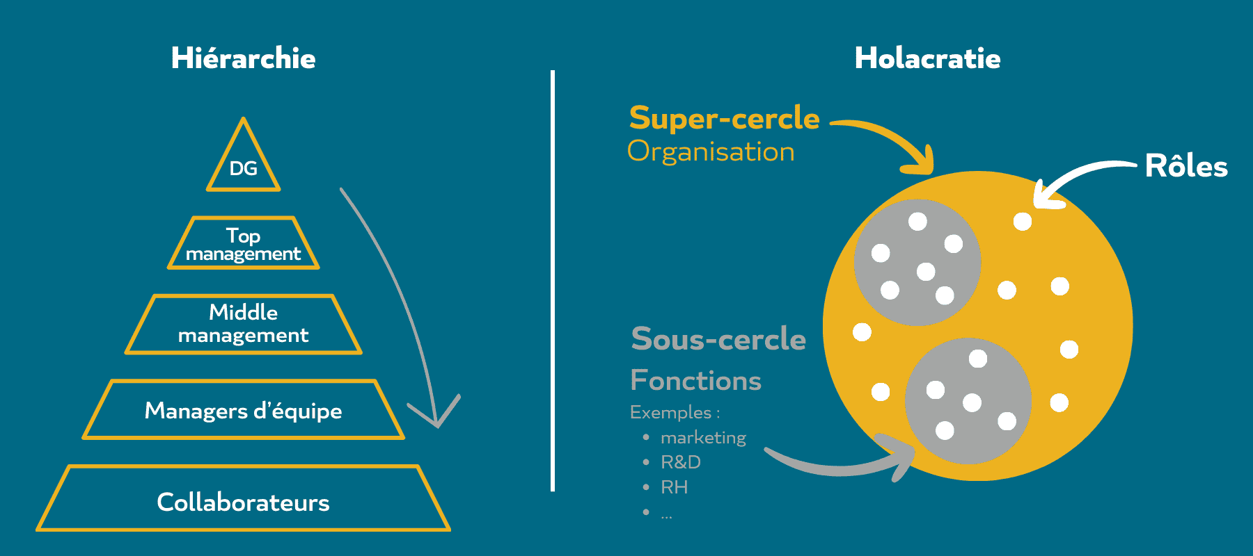 EXEIS Conseil-hiérarchie VS holacratie 1